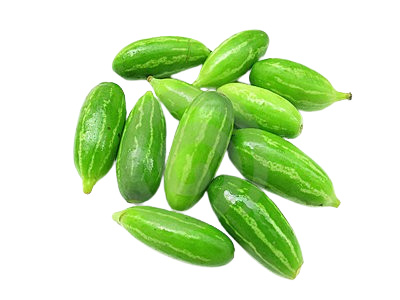 ivy gourd